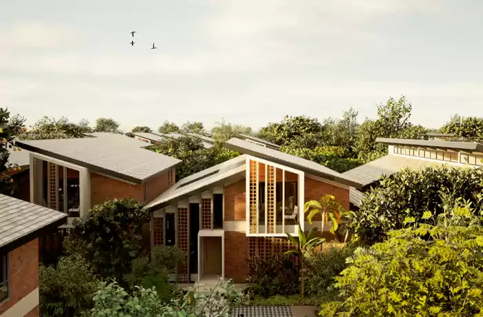 Thumbnail-ibrahimpally