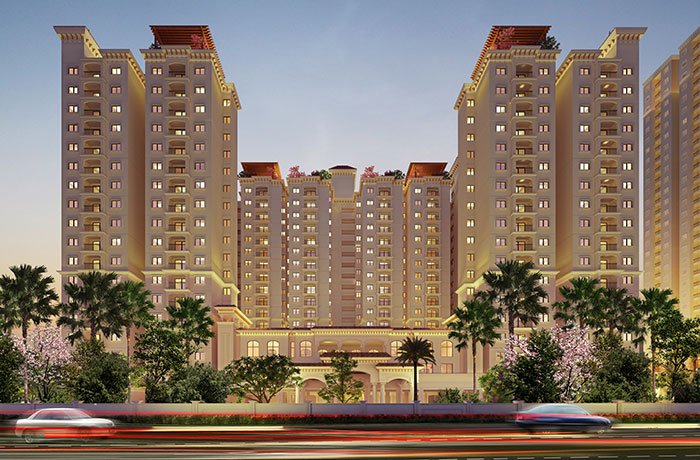 103 -GmCommercialOptNIGHTC03